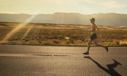 Featured image of post Shorts de sport Homme